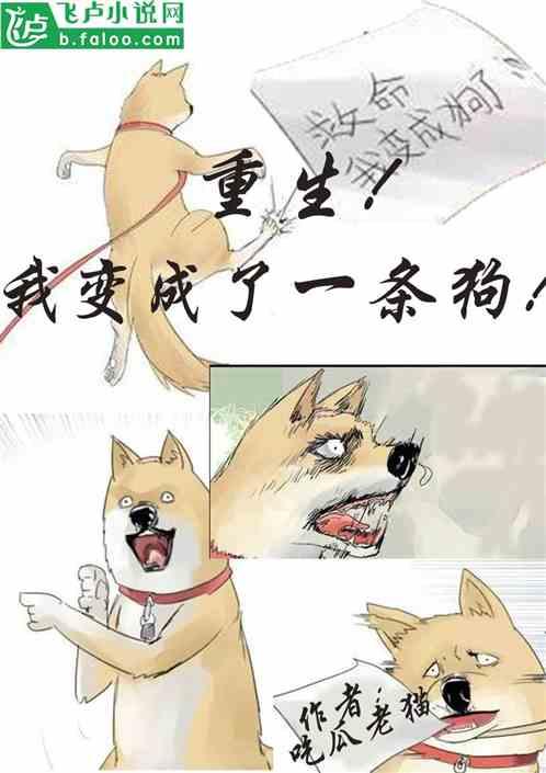 娱乐圈猫猫吃瓜小说